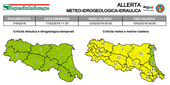 Allerta meteo per neve su quasi tutta l'Emilia Romagna