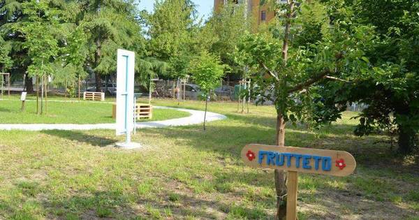 Ausl Fitness Per Tutti Al Parco Del Centro Diurno La Meridiana Cesena Home Corriere Cesenate