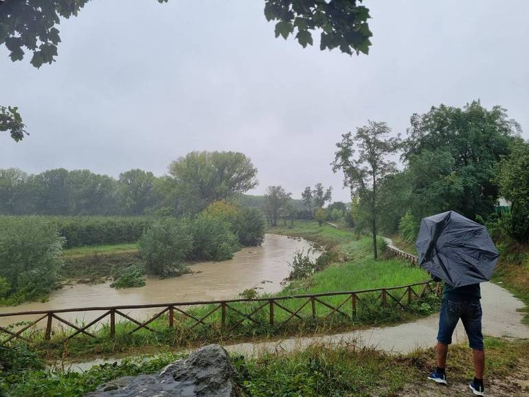 riva del fiume Savio a Martorano di Cesena, ore 9,25 - foto Sa.L.