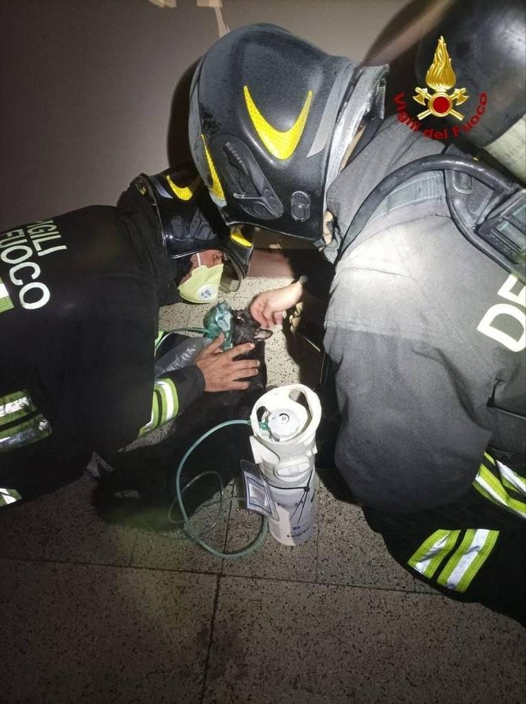 La foto è gentilmente concessa dal Comando provinciale dei Vigili del fuoco