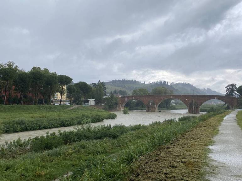 Il Savio questa mattina (foto: Marco Rossi)