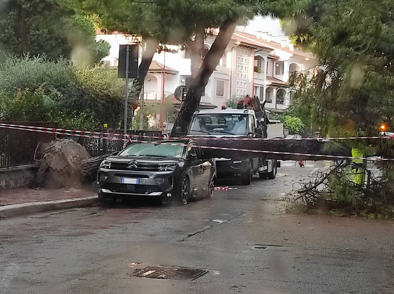 Via Fornaci: pino crolla su auto