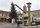 Installazione dell'albero in piazza Pisacane