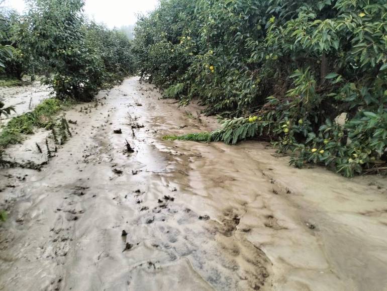 Campi alluvionati a Castrocaro (foto: Coldiretti ER)