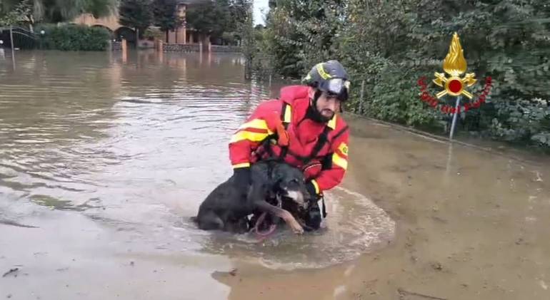 (foto: Vigili del fuoco)