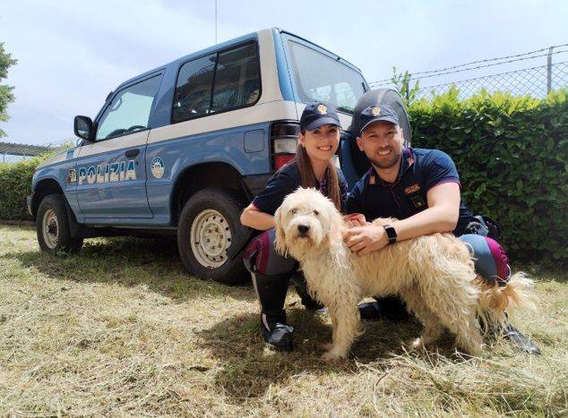 La Polizia di Stato recupera un cane sulla E45 a Bagno di Romagna